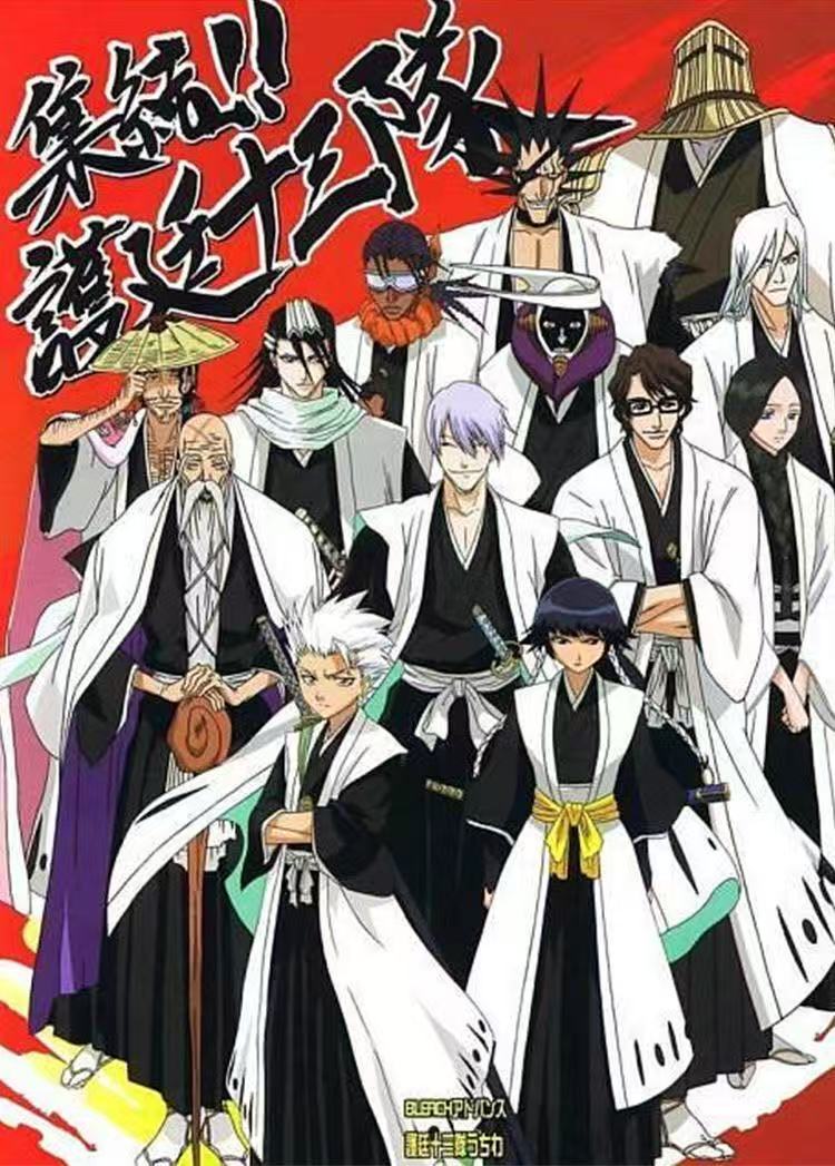 Bleach Themed Captain Uniform  - Bleach Captain Coat recensione e prezzo
