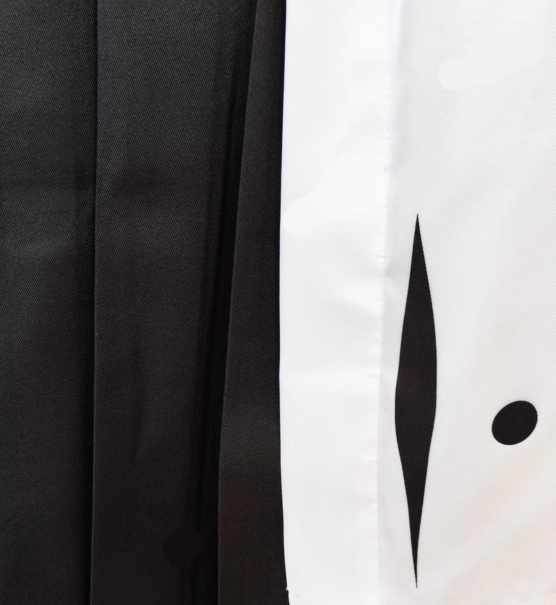Toshiro Hitsugaya Cosplay Cost - Bleach Captain Coat recensione e prezzo